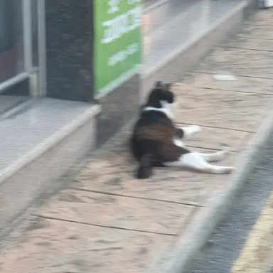 Profile image of 고고프렌즈 팀나빠