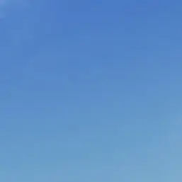 Profile image of 잠뜰