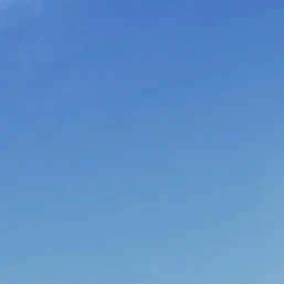 잠뜰