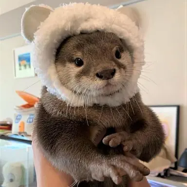 Profile image of イ・サンヒョク