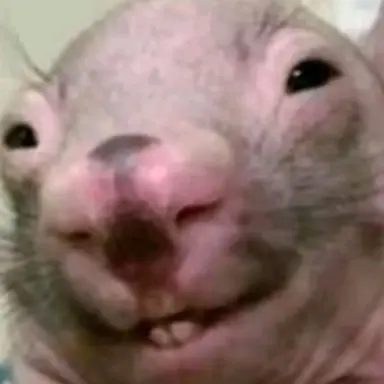 Profile image of 공주아