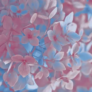 Profile image of 밥풀