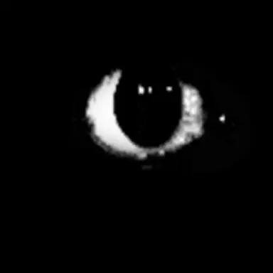 Profile image of 쉐밀