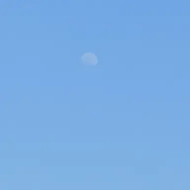 Profile image of 에스파