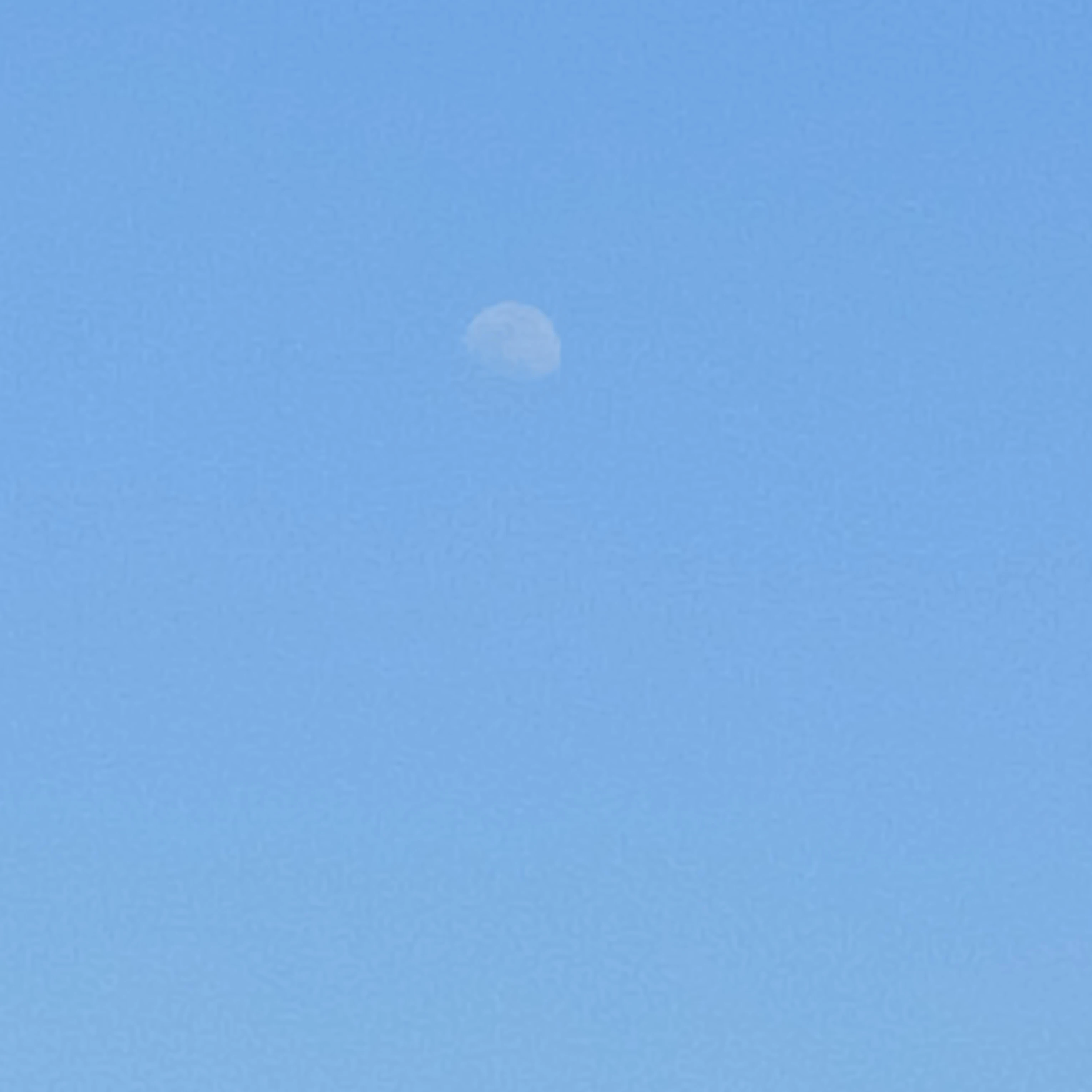 에스파