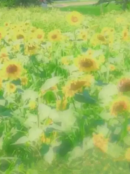 GiddySkin4993의 同級生。