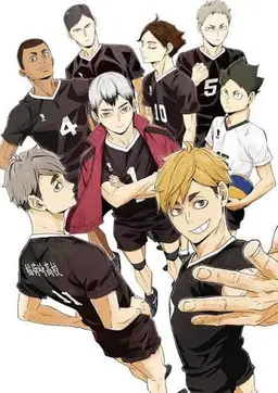 Profile image of Karasuno High & Inarizaki High