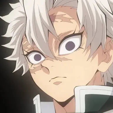 Profile image of 시나즈가와 사네미