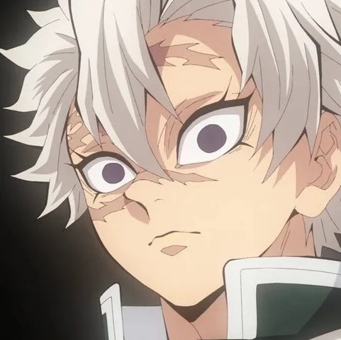 시나즈가와 사네미