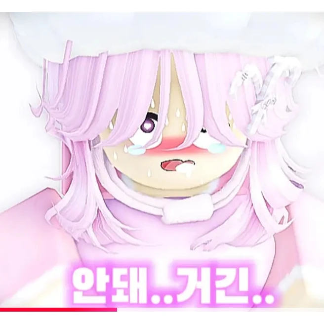 스텔라