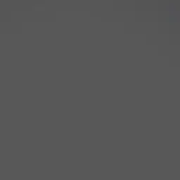 Profile image of 허씬롱