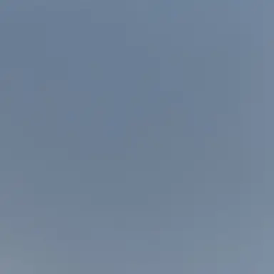 Profile image of 쇼우