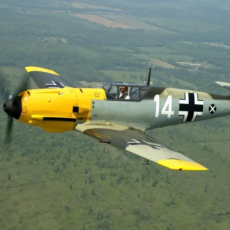 TheNewOrder1960의 BF 109