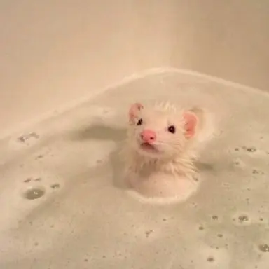 Profile image of 황현진