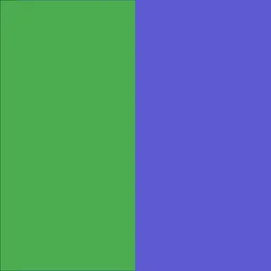 Profile image of 熊本支部