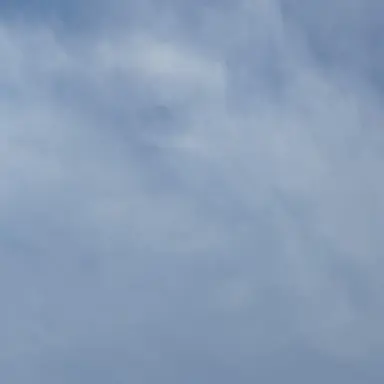 Profile image of 1A