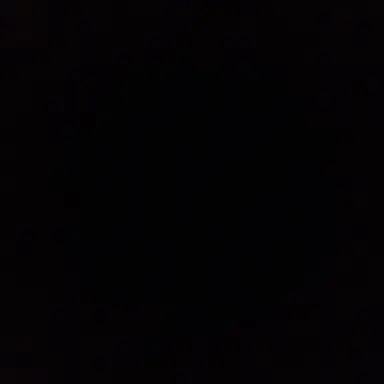 Profile image of 판저이