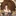 ピノコニーのワンちゃん