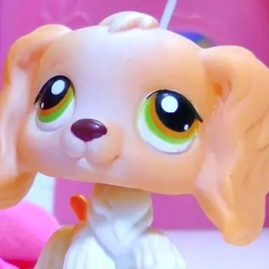 Profile image of Genevieve Ryan