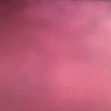 Profile image of 라더