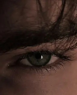 Profile image of Cody Reeds