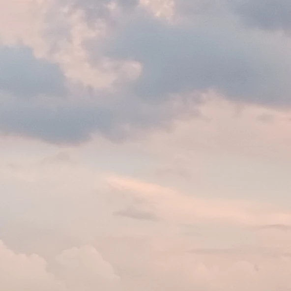 ミセス