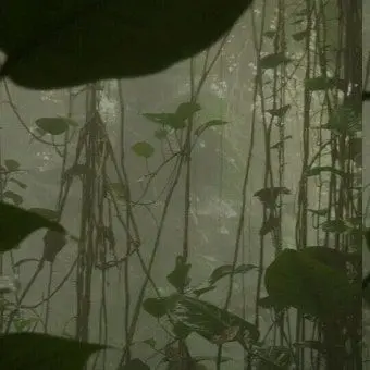 Profile image of 공룡