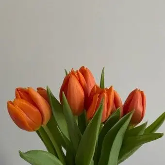 Profile image of 덕개