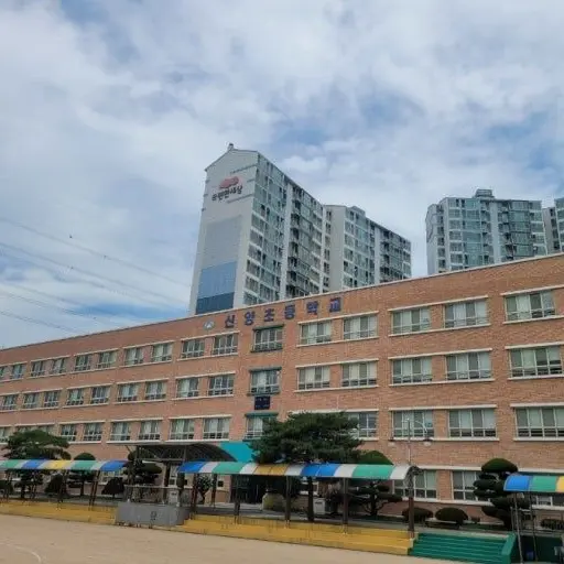 CurvedMolly8689의 양산신양초등학교