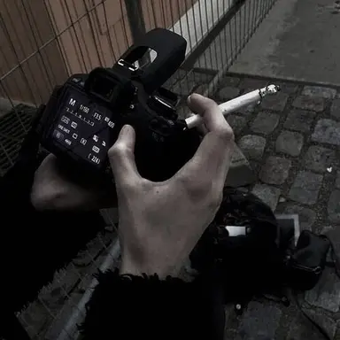 Profile image of 네시스