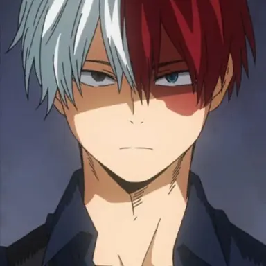 Profile image of 轟 焦凍