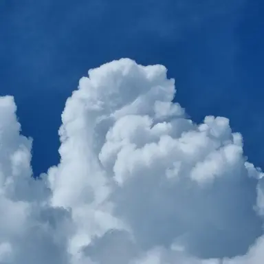 Profile image of 툰