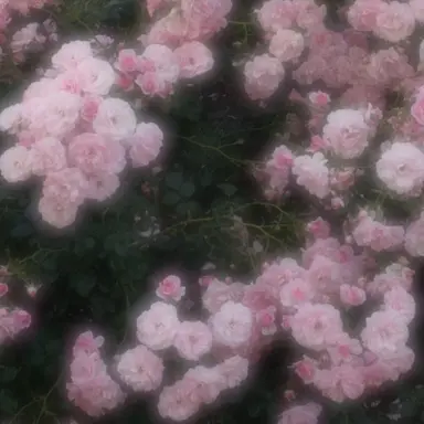Profile image of 宇佐美