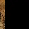 Profile image of Stranger