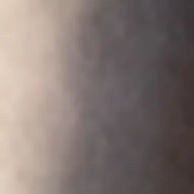 Profile image of 이용복