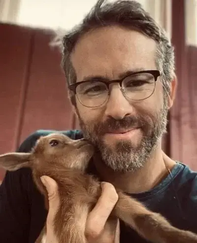 WeakDam4127의 Ryan Reynolds