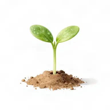 Profile image of 植物
