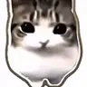 Profile image of 마음대로