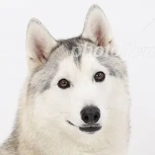 Profile image of ムギ
