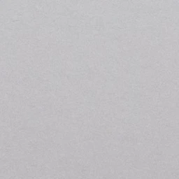 일상