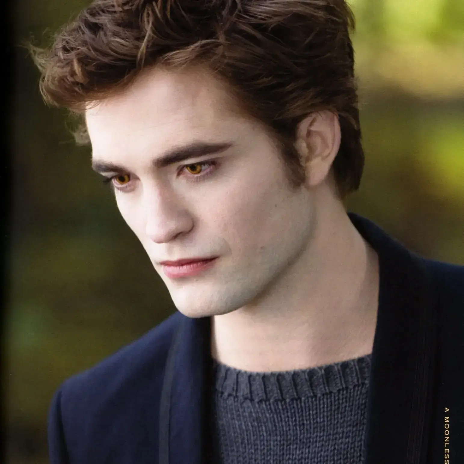 BronzeAlbum8467의 Edward Cullen