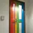 Final Checkmate- rainbow  Dissection Room