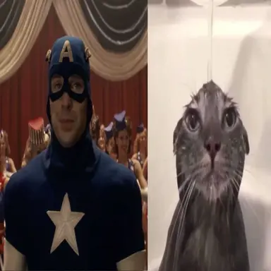 Profile image of Steve Rogers