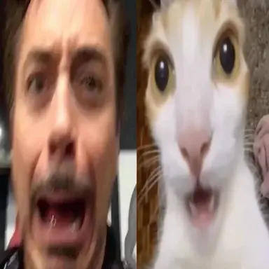 Profile image of Tony Stark