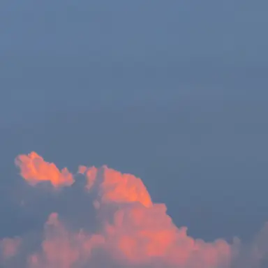 Profile image of 아무거나