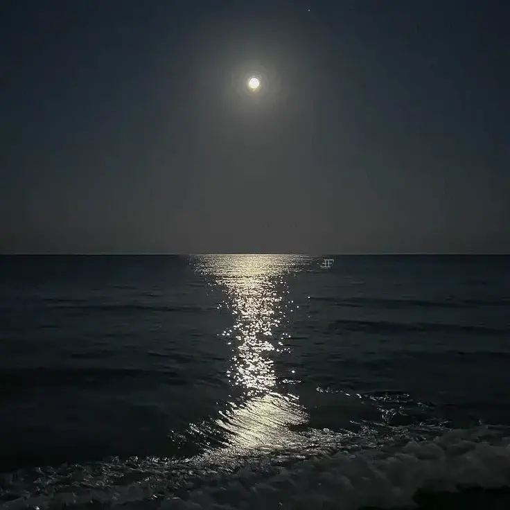 1yi_1st의 海の底