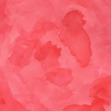 Profile image of 라더