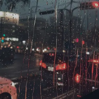 Profile image of 선