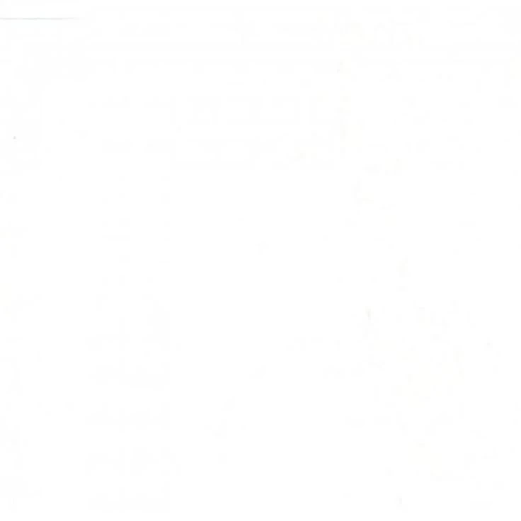 허씬롱