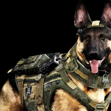 Profile image of Riley